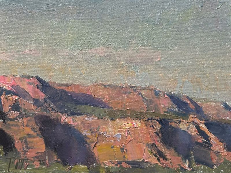 "Shadow and Light, Sedona"